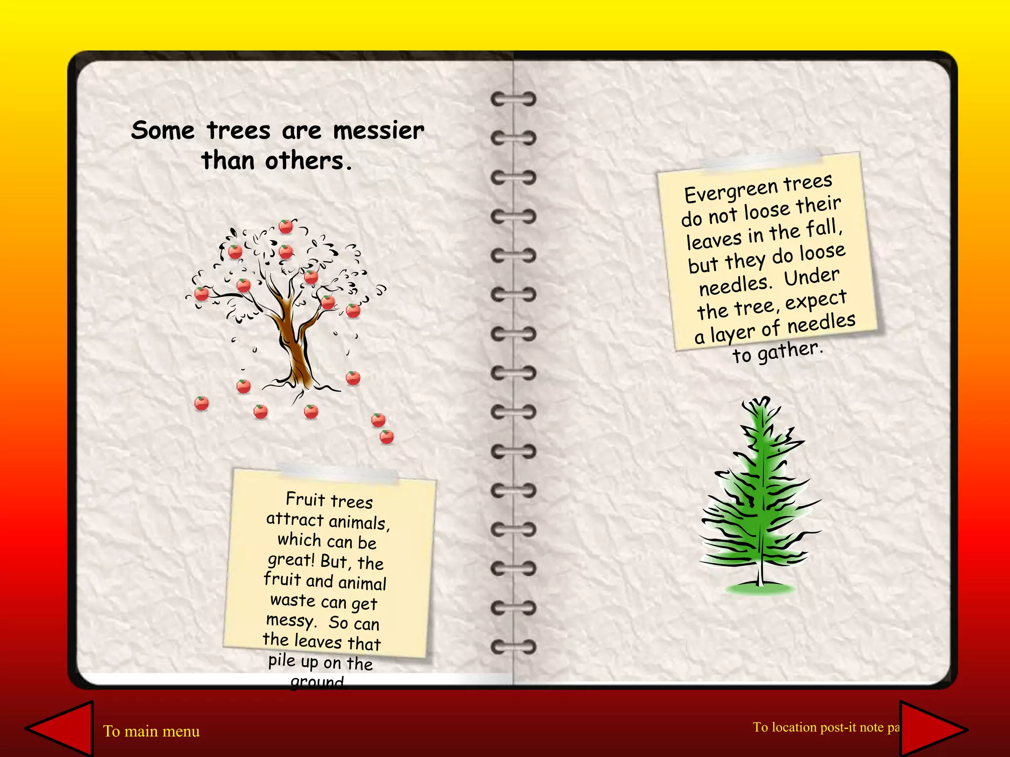 Some trees are messier
than others.
To main menu To location post-it note page
 