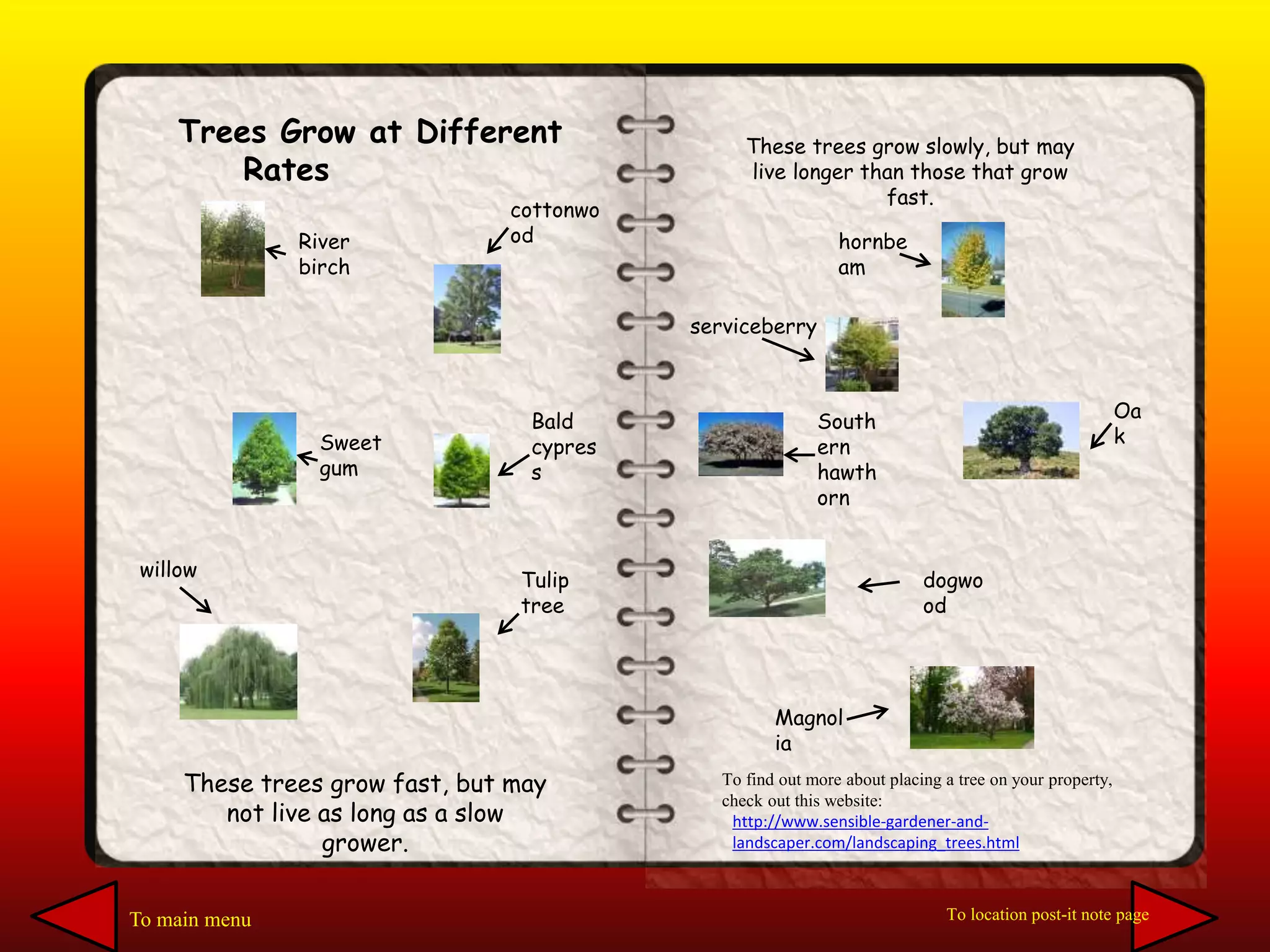 Trees Grow at Different
Rates
These trees grow fast, but may
not live as long as a slow
grower.
River
birch
cottonwo
od
Sweet
gum
willow
Bald
cypres
s
Tulip
tree
These trees grow slowly, but may
live longer than those that grow
fast.
hornbe
am
dogwo
od
South
ern
hawth
orn
Magnol
ia
Oa
k
serviceberry
http://www.sensible-gardener-and-
landscaper.com/landscaping_trees.html
To find out more about placing a tree on your property,
check out this website:
To main menu To location post-it note page
 