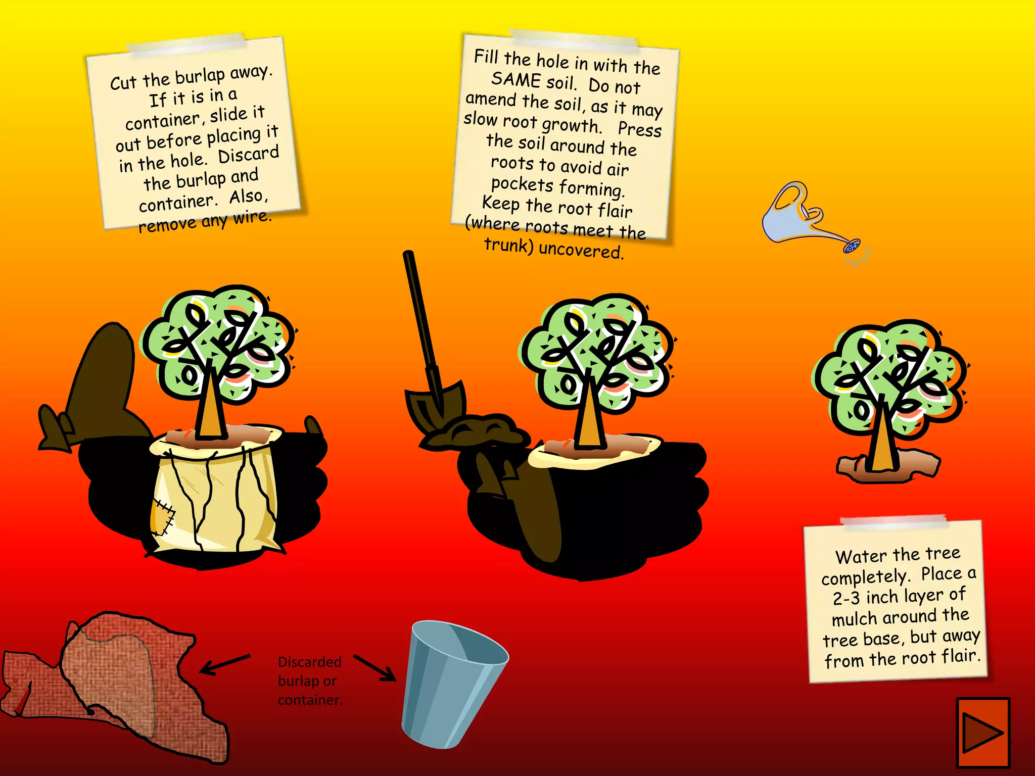 Discarded
burlap or
container.
 