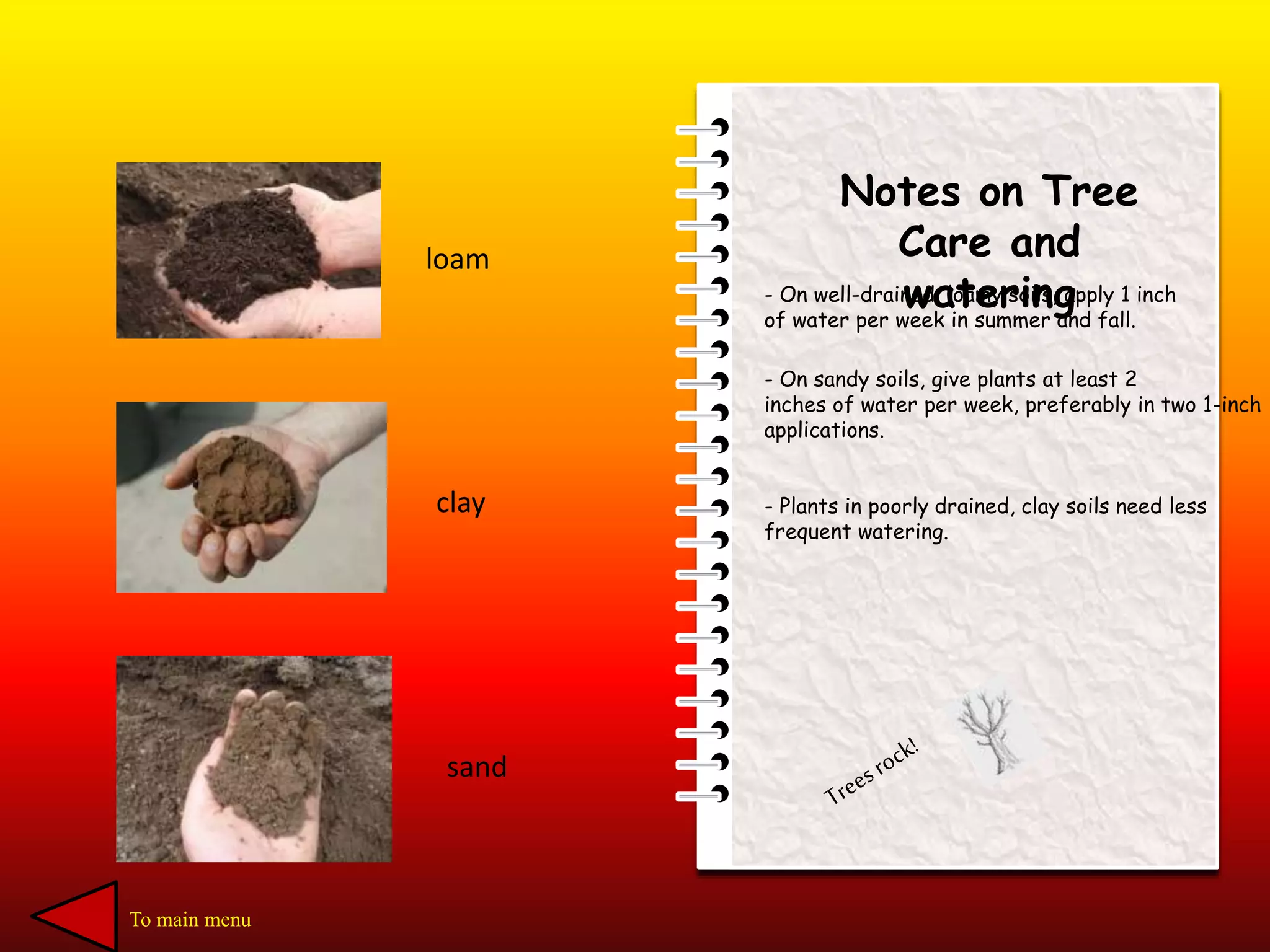 - On well-drained, loamy soils, apply 1 inch
of water per week in summer and fall.
Notes on Tree
Care and
watering
- On sandy soils, give plants at least 2
inches of water per week, preferably in two 1-inch
applications.
- Plants in poorly drained, clay soils need less
frequent watering.
loam
clay
sand
To main menu
 