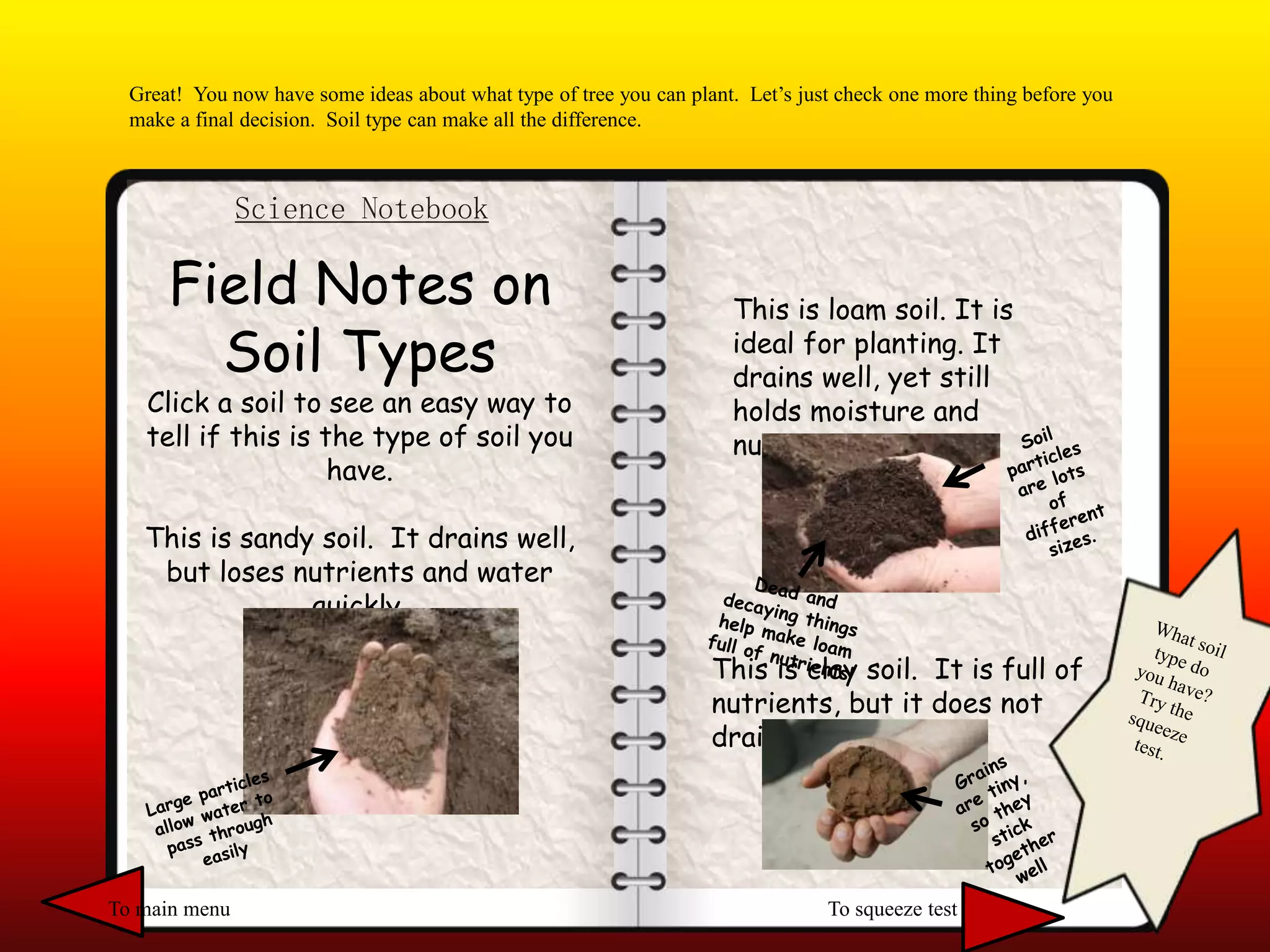 Science Notebook
Great! You now have some ideas about what type of tree you can plant. Let’s just check one more thing before you
make a final decision. Soil type can make all the difference.
Field Notes on
Soil Types
Click a soil to see an easy way to
tell if this is the type of soil you
have.
This is sandy soil. It drains well,
but loses nutrients and water
quickly.
This is loam soil. It is
ideal for planting. It
drains well, yet still
holds moisture and
nutrients.
This is clay soil. It is full of
nutrients, but it does not
drain well.
To main menu To squeeze test
 