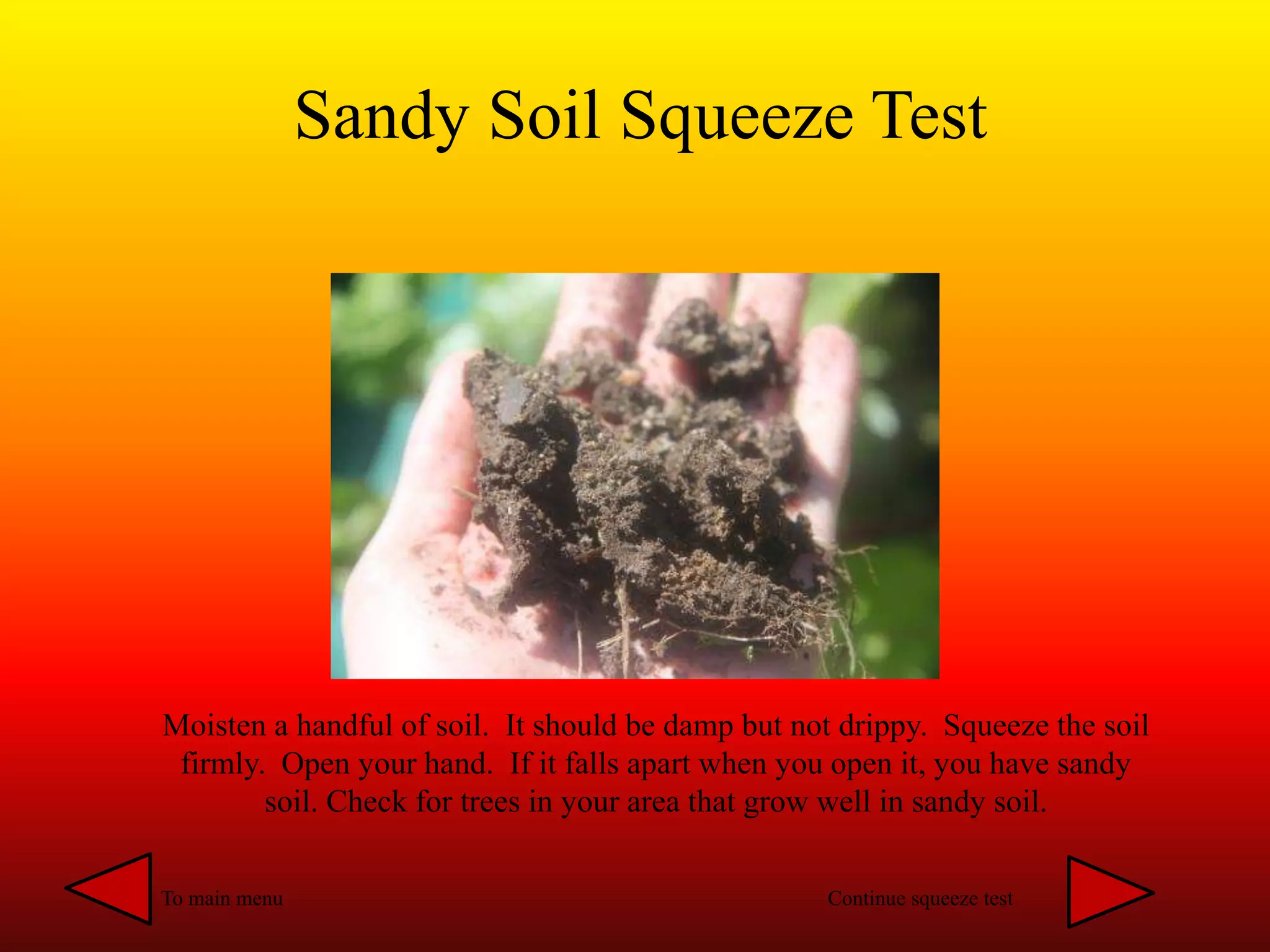 Sandy Soil Squeeze Test
Moisten a handful of soil. It should be damp but not drippy. Squeeze the soil
firmly. Open your hand. If it falls apart when you open it, you have sandy
soil. Check for trees in your area that grow well in sandy soil.
To main menu Continue squeeze test
 