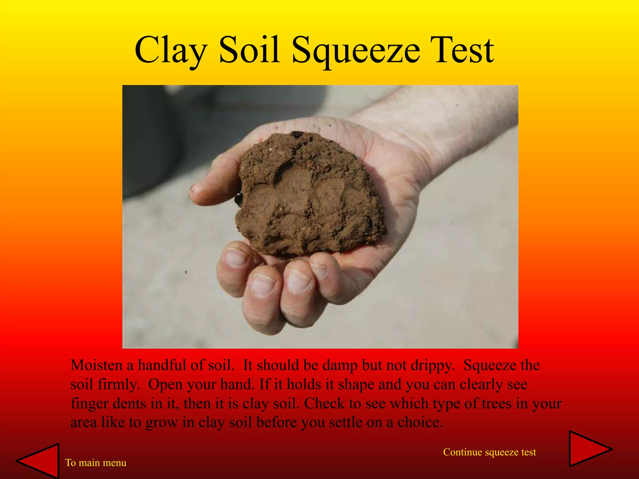 Clay Soil Squeeze Test
Moisten a handful of soil. It should be damp but not drippy. Squeeze the
soil firmly. Open your hand. If it holds it shape and you can clearly see
finger dents in it, then it is clay soil. Check to see which type of trees in your
area like to grow in clay soil before you settle on a choice.
To main menu
Continue squeeze test
 