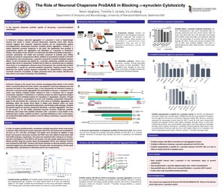 The Role of Neuronal Chaperone ProSAAS in Blocking 𝛼-synuclein Cytotoxicity

Nevin Varghese, Timothy S. Jarvela, Iris Lindberg
Department of Anatomy and Neurobiology, University of Maryland-BalEmore, BalEmore MD
In	 Parkinson’s	 Disease,	 abnormal	 aggrega3on	 of	 𝛼-synuclein	 is	 toxic	 to	 dopaminergic	
neurons	 and	 results	 in	 serious	 neuronal	 dysfunc3on,	 impairing	 motor	 skills.	 Recent	
research	 suggests	 that	 molecular	 chaperone	 proteins	 can	 be	 cytoprotec3ve	 against	
neurodegenera3ve	 biochemical	 processes	 including	 protein	 aggrega3on.	 ProSAAS	 is	 a	
widely	 expressed	 secretory	 chaperone	 in	 the	 brain.	 We	 hypothesize	 that	 proSAAS	 is	
cytoprotec3ve	 against	 the	 aggrega3on	 and	 ﬁbrilla3on	 of	 𝛼-synuclein	 in	 Parkinson’s	
Disease.	The	purpose	of	this	research	is	to	determine	the	ability	of	proSAAS	to	decrease	𝛼-
synuclein	 cytotoxicity.	 Full	 length	 and	 trunca3on	 constructs	 of	 proSAAS	 were	 aﬃnity	
puriﬁed	and	tested	for	cytoprotec3ve	eﬀects.	Addi3on	of	recombinant	proSAAS	to	SH-SY5Y	
neuroblastoma	cells	overexpressing	𝛼-synuclein	rescued	the	synuclein-mediated	cytotoxic	
eﬀects.	To	see	if	protec3on	was	speciﬁc	for	 𝛼-synuclein	cytotoxicity,	proSAAS	was	tested	
against	other	forms	of	cytotoxicity.	ProSAAS	had	no	eﬀect	on	cytotoxicity	due	to	oxida3ve	
stress	(H2O2)	or	to	endoplasmic	re3culum	stress	(Tunicamycin).	We	conclude	that	proSAAS	
cytoprotec3on	 is	 speciﬁc	 for	 synuclein-mediated	 cytotoxicity.	 Ongoing	 research	 aims	 to	
determine	 the	 speciﬁc	 protein	 sequence	 responsible	 for	 cytoprotec3on,	 using	 puriﬁed	
truncated	constructs	of	proSAAS,	as	highly	conserved	amino	acid	residues	160-180	have	
been	shown	to	be	cri3cal	in	blocking	in	vitro	ﬁbrilla3on.	
Parkinson’s	Disease	is	the	second	most	common	neurodegenera3ve	disease	in	the	United	
States.	It	primarily	aﬀects	the	motor	system,	and	symptoms	result	from	dopamine	loss	and	
neuronal	cell	death	in	the	substan3a	nigra.	A	key	characteris3c	of	Parkinson’s	Disease	is	
abnormal	𝛼-synuclein	protein	aggrega3on	into	Lewy	Bodies	in	neurons.	𝛼-synuclein	is	a	140	
amino	 acid	 na3vely	 unfolded	 protein	 believed	 to	 have	 a	 func3onal	 role	 in	 synap3c	
transmission	regula3on.	Proteostasis	is	a	molecular	process	by	which	chaperones	prepare	
or	ﬁx	unfolded	and	misfolded	proteins	for	transla3on	or	degrada3on.	However,	through	
environment	 stressors,	 accumula3on	 of	 errors,	 and	 muta3ons,	 proteosta3c	 mechanisms	
begin	to	fail	and	proteins	like	𝛼-synuclein	are	more	prone	to	misfolding,	aggrega3ng,	and	
ﬁbrilla3ng.	 When	 the	 protein	 forms	 ﬁbrils,	 it	 adapts	 toxic	 behavior	 which	 can	 cause	
proteasome	disrup3on,	mitochondrial	dysfunc3on,	and	ER-Golgi	traﬃc	blockage.	Probable	
therapeu3c	targets	are	secretory	chaperones	that	block	𝛼-synuclein	aggrega3on.	The	focus	
of	 this	 project	 is	 on	 the	 widely	 expressed	 neuronal	 secretory	 chaperone	 proSAAS.	
Preliminary	data	shows	that	proSAAS	colocalizes	with	 𝛼-synuclein	in	Lewy	Bodies	in	the	
substan3a	nigra.	Further,	proSAAS	can	block	𝛼-synuclein	ﬁbrilla3on	in	vitro.	In	this	project,	
we	produced	proSAAS	dele3on	mutants	to	test	for	eﬃcacy	at	blocking	𝛼-synuclein	toxicity	
in	cell	culture.		
Is	 the	 neuronal	 chaperone	 proSAAS	 capable	 of	 decreasing	 𝛼-synuclein-mediated	
cytotoxicity?	
Furin site
Puriﬁed	proSAAS	dele.on	constructs	
(21kDa)	
Amino	acid	#	
Pep.des	
Endogenous		
proSAAS	
1-180	
1-224	
A:	Structural	representa3on	of	endogenous	proSAAS	(21	kDa	and	27	kDa).	Alpha	helices	
are	red,	furin	cleavage	site	is	yellow,	and	known	pep.des	are	pink.	B:	N-	or	C-	terminal	
dele.on	 constructs	 of	 proSAAS	 were	 puriﬁed	 and	 used	 in	 cytotoxicity	 and	 ﬁbrilla.on	
assays.	
In	order	to	prepare	puriﬁed	protein,	recombinant	proSAAS	expression	vectors	were	grown	
in	bacteria.	Aaer	inducing	for	protein	expression	with	IPTG,	the	bacteria	was	incubated	for	
18	 hours	 at	 27°C	 and	 then	 centrifuged.	 Cell	 pellets	 were	 disrupted	 by	 addi3on	 of	 Bug	
Buster	and	lysozyme.	Benzonase	nuclease	and	PMSF	were	then	added	to	break	down	DNA	
and	inhibit	proteases,	respec3vely.	The	lysate	was	incubated	while	rocking	for	15	minutes,	
and	then	centrifuged	at	12.5k	RPM	for	20	minutes.	The	new	sample	supernatant	was	then	
aﬃnity	 puriﬁed	 using	 fast	 protein	 liquid	 chromatography	 (FPLC),	 and	 collected	 frac3ons	
were	analyzed	by	SDS-PAGE.	Frac3ons	with	bands	matching	our	desired	proSAAS	construct	
molecular	weight	were	then	dialyzed	into	0.1	M	ace3c	acid,	concentrated	by	10	kDa	cutoﬀ	
centrifugal	ﬁlters,	and	diluted	in	5	mM	ace3c	acid	for	use	in	experiments.	
0	
500	
1000	
1500	
2000	
2500	
3000	
0	 8	 16	 24	 32	 40	 48	 56	 64	 72	
Absorbance	280	nm	(mAU)	
	
	
	
	
A:	 Proteostasis	 network.	 Proteins	 are	
synthesized	in	the	endoplasmic	re.culum.	
Molecular	 chaperones	 fold	 proteins	 to	
form	 stable	 proteins.	 When	 proteins	 are	
misfolded	 or	 destabilized	 from	
aggrega.on,	 they	 are	 sent	 to	 the	
ubiqui.n-proteasome	 system	 for	
degrada.on.		
	
	
	
	
	
	
B:	 Fibrilla3on	 pathway.	 Na.ve	 form	
monomers	 nucleate,	 forming	 poten.ally	
toxic	 annular	 or	 linear	 protoﬁbrils.	 These	
protoﬁbrils	 then	 elongate	 to	 form	 toxic	
ﬁbrils.	𝛼-synuclein	is	thought	to	follow	this	
unidirec.onal	ﬁbrilla.on	pathway.	
ProSAAS	 blocks	 𝛼-synuclein	 mediated	 cytotoxicity.	 SH-
SY5Y	 neuroblastoma	 cells	 were	 transfected	 with	 𝛼-
synuclein	 expression	 and	 LacZ	 control	 vectors.	 AZer	 24	
hours,	 they	 were	 split	 into	 a	 96	 well	 plate	 and	 treated	
with	proSAAS,	ace.c	acid	buﬀer,	and	ovalbumin.	AZer	48	
hours,	 the	 percentage	 of	 surviving	 cells	 was	 measured	
through	 the	 WST-1	 assay.	 Cell	 survival	 increased	 from	
75%	 to	 85%	 aZer	 proSAAS	 addi.on.	 Each	 point	 is	
represented	by	the	mean	±	SEM	(*p<0.05,	**p<0.01,	two-
way	t-test).	
			
ProSAAS	cytoprotec3on	is	speciﬁc	for	 𝛼-synuclein	toxicity.	A:	SH-SY5Y	neuroblastoma	
cells	were	seeded	into	a	96	well	plate.	ProSAAS	(PS)	and	two	concentra.ons	(5.0	μg/mL	
and	10.0	μg/mL)	of	ER	stressor	Tunicamycin	(TM)	were	added.	AZer	48	hours,	cells	were	
measured	 for	 percentage	 survival	 using	 the	 WST-1	 assay.	 B:	 Cells	 were	 treated	 with	
proSAAS	 and	 oxida.ve	 stressor	 100.0	 μg/mL	 hydrogen	 peroxide	 (H2O2).	 C:	 Cells	 were	
treated	with	proSAAS,	two	concentra.ons	(100.0	μg/mL	and	250.0	μg/mL)	of	hydrogen	
peroxide,	and	5.0	μg/mL	Tunicamycin.	Variability	in	toxicity	between	experiments	is	due	
to	concentra.on	of	cells	per	well,	but	not	in	the	rela.ve	eﬀects	of	(+/-)	proSAAS.	Each	
point	is	represented	by	the	mean	±	SEM	(n.s.	p>0.05,	***p<0.001,	two-way	t-test).	
	
•  ProSAAS	residues	160-180	are	essen3al	to	its	an3-aggregant	func3on.	
•  ProSAAS	is	eﬀec3ve	at	reducing	𝛼-synuclein	cytotoxicity	in	SH-SY5Y	cells.	
•  ProSAAS	cytoprotec3on	is	speciﬁc	for	𝛼-synuclein	toxicity	in	SH-SY5Y	cells,	as	it	has	no	
eﬀect	on	toxicity	from	ER	or	oxida3ve	stress.	
Time	(minutes)	
Research	Ques3on		
	1				2				3				4				5				6					7				8				9				10		11		12	
1.	Residues	160-180	are	Necessary	for	Op3mal	An3-Aggregant	Behavior	
ProSAAS	residues	160-180	are	cri3cal	to	preven3ng	𝛼-synuclein	aggrega3on.	Experiment	
of	 𝛼-synuclein	 ﬁbrilla.on	 inhibi.on	 by	 proSAAS	 21	 kDa,	 dele.on	 constructs,	 carbonic	
anhydrase	(control),	and	alpha-crystallin	(posi.ve	control).	Each	point	is	represented	by	
the	 mean	 ±	 SEM,	 n=6.	 (*p<0.05,	 **p<0.01,	 ***p<0.001,	 two-way	 ANOVA,	 vs.	 carbonic	
anhydrase	control).	
ProSAAS	protein	puriﬁca3on.	A:	ProSAAS	protein	frac.ons	were	collected	and	run	on	a	
SDS	 polyacrylamide	 gel.	 Frac.ons	 4-12	 show	 intense	 bands	 at	 21	 kDa,	 the	 molecular	
weight	of	“full	length”	proSAAS.	B:	Chromatogram	of	.me	versus	absorbance	following	
FPLC.	Binding,	wash,	and	elu.on	buﬀer	regions	are	shown	for	21	kDa	proSAAS	sample.	
B	A	
Aggrega3on	
Stable
protein
FoldingSynthesis
Degrada3on	
Disaggrega3on	
A	
A	
B	
0 50 100 150 200
0
5000
10000
proSAAS 1-159
proSAAS 97-180
proSAAS 1-180
alpha-crystallin
carbonic anhydrase
proSAAS 62-180
Time (h)
ThTFluorescence(au)
***	
	
	***	
	
***	
***	
0	
50	
100	
Cell	Viability	(%)	
0	
50	
100	
Cell	Viability	(%)	
0	
50	
100	
Cell	Viability	(%)	
Future	Studies	
•  Does	 proSAAS	 interact	 with	 𝛼-synuclein	 in	 the	 extracellular	 space	 to	 prevent	
cytotoxicity?	
•  Does	proSAAS	block	𝛼-synuclein	oligomeriza3on	intra-	and/or	extracellularly?	
•  Does	proSAAS	have	an	eﬀect	on	an	increased	ﬁbrilla3on	𝛼-synuclein	A53T	mutant?	
•  Create	a	ﬁner	map	of	proSAAS	func3onal	domains.	
A	 B	
C	
Elu3on	Buﬀer	
B	
Abstract		
Background	
Methods	
Proteostasis	Network	and	Fibrilla3on	Pathway		
ProSAAS	Secondary	Structure	
3.	ProSAAS	Protec3on	Against	α-synuclein	Cytotoxicity	
2.	ProSAAS	Blocks	α-synuclein	Cytotoxicity			
Conclusions	
Acknowledgements	
This	research	was	supported	by	the	grant	NIA	NIH	R21AG045741-02.	Thanks	to	the	McLean	
Lab	for	split-Venus	𝛼-synuclein	vectors.		
n.s.	 n.s.	
n.s.	
n.s.	
n.s.	
n.s.	
+Buffer
+Ovalbumin
+ProSAAS
+Buffer
+Ovalbumin
+proSAAS
0
50
100
α-synucleinLacZ
**
**
%Survival
***	
	
***	
	
***	
	
Adapted	from	Roberts,	H.L.	and	Brown,	D.R.,	2015.	Seeking	a	
mechanism	for	the	toxicity	of	oligomeric	α-
synuclein.	Biomolecules,	5(2),	pp.282-305.	
Wash	Buﬀer	
Binding	Buﬀer	
 