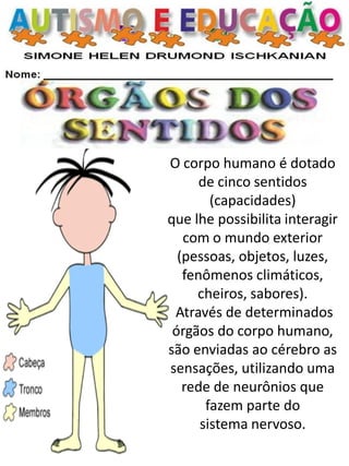 O corpo humano é dotado de cinco sentidos (capacidades) 
que lhe possibilita interagir com o mundo exterior 
(pessoas, objetos, luzes, fenômenos climáticos, cheiros, sabores). 
Através de determinados órgãos do corpo humano, são enviadas ao cérebro as sensações, utilizando uma rede de neurônios que fazem parte do 
sistema nervoso.  