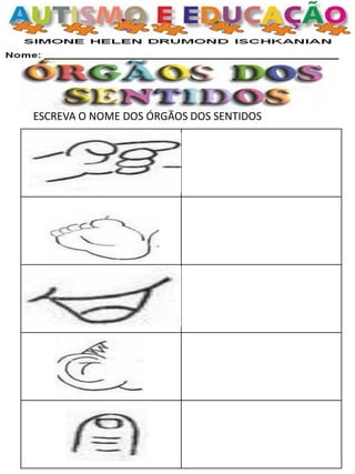 ESCREVA O NOME DOS ÓRGÃOS DOS SENTIDOS  