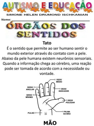 Tato É o sentido que permite ao ser humano sentir o mundo exterior através do contato com a pele. Abaixo da pele humana existem neurônios sensoriais. Quando a informação chega ao cérebro, uma reação pode ser tomada de acordo com a necessidade ou vontade.  
