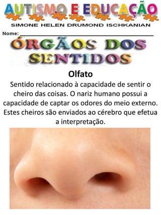 Olfato Sentido relacionado à capacidade de sentir o cheiro das coisas. O nariz humano possui a capacidade de captar os odores do meio externo. Estes cheiros são enviados ao cérebro que efetua a interpretação.  