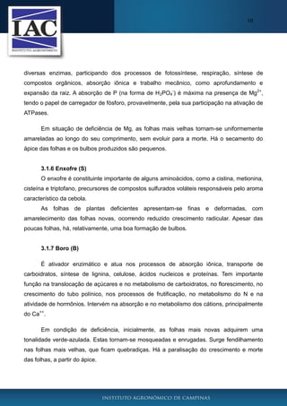10

diversas enzimas, participando dos processos de fotossíntese, respiração, síntese de
compostos orgânicos, absorção iônica e trabalho mecânico, como aprofundamento e
expansão da raiz. A absorção de P (na forma de H2PO4-) é máxima na presença de Mg2+,
tendo o papel de carregador de fósforo, provavelmente, pela sua participação na ativação de
ATPases.
Em situação de deficiência de Mg, as folhas mais velhas tornam-se uniformemente
amareladas ao longo do seu comprimento, sem evoluir para a morte. Há o secamento do
ápice das folhas e os bulbos produzidos são pequenos.

3.1.6 Enxofre (S)
O enxofre é constituinte importante de alguns aminoácidos, como a cistina, metionina,
cisteína e triptofano, precursores de compostos sulfurados voláteis responsáveis pelo aroma
característico da cebola.
As folhas de plantas deficientes apresentam-se finas e deformadas, com
amarelecimento das folhas novas, ocorrendo reduzido crescimento radicular. Apesar das
poucas folhas, há, relativamente, uma boa formação de bulbos.

3.1.7 Boro (B)
É ativador enzimático e atua nos processos de absorção iônica, transporte de
carboidratos, síntese de lignina, celulose, ácidos nucleicos e proteínas. Tem importante
função na translocação de açúcares e no metabolismo de carboidratos, no florescimento, no
crescimento do tubo polínico, nos processos de frutificação, no metabolismo do N e na
atividade de hormônios. Intervém na absorção e no metabolismo dos cátions, principalmente
do Ca++.
Em condição de deficiência, inicialmente, as folhas mais novas adquirem uma
tonalidade verde-azulada. Estas tornam-se mosqueadas e enrugadas. Surge fendilhamento
nas folhas mais velhas, que ficam quebradiças. Há a paralisação do crescimento e morte
das folhas, a partir do ápice.

 