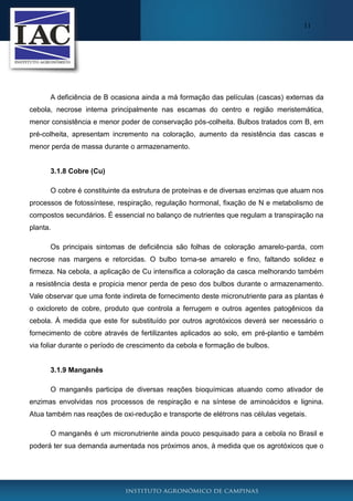 11

A deficiência de B ocasiona ainda a má formação das películas (cascas) externas da
cebola, necrose interna principalmente nas escamas do centro e região meristemática,
menor consistência e menor poder de conservação pós-colheita. Bulbos tratados com B, em
pré-colheita, apresentam incremento na coloração, aumento da resistência das cascas e
menor perda de massa durante o armazenamento.

3.1.8 Cobre (Cu)
O cobre é constituinte da estrutura de proteínas e de diversas enzimas que atuam nos
processos de fotossíntese, respiração, regulação hormonal, fixação de N e metabolismo de
compostos secundários. É essencial no balanço de nutrientes que regulam a transpiração na
planta.
Os principais sintomas de deficiência são folhas de coloração amarelo-parda, com
necrose nas margens e retorcidas. O bulbo torna-se amarelo e fino, faltando solidez e
firmeza. Na cebola, a aplicação de Cu intensifica a coloração da casca melhorando também
a resistência desta e propicia menor perda de peso dos bulbos durante o armazenamento.
Vale observar que uma fonte indireta de fornecimento deste micronutriente para as plantas é
o oxicloreto de cobre, produto que controla a ferrugem e outros agentes patogênicos da
cebola. À medida que este for substituído por outros agrotóxicos deverá ser necessário o
fornecimento de cobre através de fertilizantes aplicados ao solo, em pré-plantio e também
via foliar durante o período de crescimento da cebola e formação de bulbos.

3.1.9 Manganês
O manganês participa de diversas reações bioquímicas atuando como ativador de
enzimas envolvidas nos processos de respiração e na síntese de aminoácidos e lignina.
Atua também nas reações de oxi-redução e transporte de elétrons nas células vegetais.
O manganês é um micronutriente ainda pouco pesquisado para a cebola no Brasil e
poderá ter sua demanda aumentada nos próximos anos, à medida que os agrotóxicos que o

 