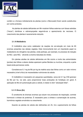 12

contém e o fornece indiretamente às plantas (como o Mancozeb) forem sendo substituídos
por outros produtos.
As plantas de cebola deficientes em Mn mostram folhas externas com faixas estreitas
(”riscos”) cloróticas e esbranquiçadas seguindo-se o aparecimento de necroses. O
crescimento das plantas é severamente reduzido.

3.1.10 Molibdênio
O molibdênio atua como catalizador de reações de oxi-redução em mais de 60
enzimas presentes nas células vegetais. Este micronutriente tem um importante papel no
metabolismo do nitrogênio nas plantas, onde participa, por exemplo, no processo de redução
do NO3-- para NO2-- ativando a enzima reductase do nitrato.
Em plantas adultas de cebola deficientes em Mo ocorre a morte das extremidades
(pontas) das folhas e abaixo destas aparecem partes flácidas ou murchas, enquanto a parte
basal ainda permanece verde.
Considera-se 0,1 mg de Mo por kg de matéria seca das folhas como um valor mínimo
necessário (nível crítico) às necessidades nutricionais da cebola.
O molibdênio é necessário em pequenas quantidades, cerca de 0,1 kg (100 gramas)
de Mo por ha, via solo, para proporcionar boas produções de hortaliças em geral. A
aplicação de Mo em pulverização para a cebola, é citada no item “adubação foliar”.

3.1.11 Zinco (Zn)
É constituinte de diversas enzimas que atuam nos processos de respiração, controle
hormonal e síntese de proteínas. É necessário para a síntese e conservação de auxinas,
hormônios vegetais envolvidos no crescimento.
Quando as plantas de cebola são deficientes em Zn, há o aparecimento de folhas

 