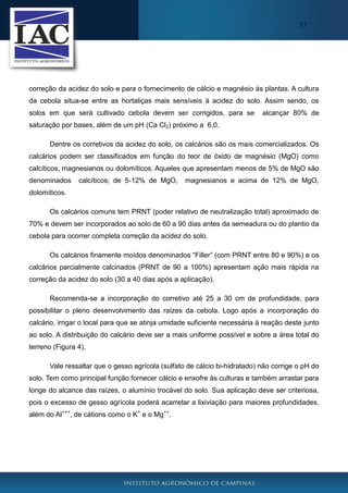 17

correção da acidez do solo e para o fornecimento de cálcio e magnésio às plantas. A cultura
da cebola situa-se entre as hortaliças mais sensíveis à acidez do solo. Assim sendo, os
solos em que será cultivado cebola devem ser corrigidos, para se

alcançar 80% de

saturação por bases, além de um pH (Ca Cl2) próximo a 6,0.
Dentre os corretivos da acidez do solo, os calcários são os mais comercializados. Os
calcários podem ser classificados em função do teor de óxido de magnésio (MgO) como
calcíticos, magnesianos ou dolomíticos. Aqueles que apresentam menos de 5% de MgO são
denominados

calcíticos; de 5-12% de MgO,

magnesianos e acima de 12% de MgO,

dolomíticos.
Os calcários comuns tem PRNT (poder relativo de neutralização total) aproximado de
70% e devem ser incorporados ao solo de 60 a 90 dias antes da semeadura ou do plantio da
cebola para ocorrer completa correção da acidez do solo.
Os calcários finamente moídos denominados “Filler” (com PRNT entre 80 e 90%) e os
calcários parcialmente calcinados (PRNT de 90 a 100%) apresentam ação mais rápida na
correção da acidez do solo (30 a 40 dias após a aplicação).
Recomenda-se a incorporação do corretivo até 25 a 30 cm de profundidade, para
possibilitar o pleno desenvolvimento das raízes da cebola. Logo após a incorporação do
calcário, irrigar o local para que se atinja umidade suficiente necessária à reação deste junto
ao solo. A distribuição do calcário deve ser a mais uniforme possível e sobre a área total do
terreno (Figura 4).
Vale ressaltar que o gesso agrícola (sulfato de cálcio bi-hidratado) não corrige o pH do
solo. Tem como principal função fornecer cálcio e enxofre às culturas e também arrastar para
longe do alcance das raízes, o alumínio trocável do solo. Sua aplicação deve ser criteriosa,
pois o excesso de gesso agrícola poderá acarretar a lixiviação para maiores profundidades,
além do Al+++, de cátions como o K+ e o Mg++.

 