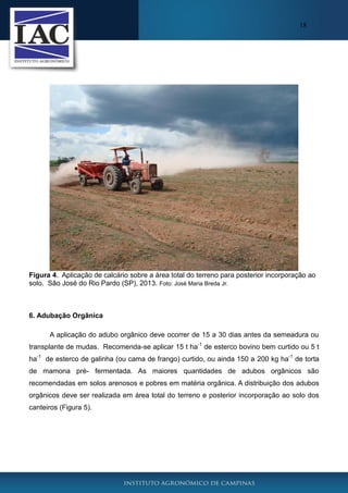 18

Figura 4. Aplicação de calcário sobre a área total do terreno para posterior incorporação ao
solo. São José do Rio Pardo (SP), 2013. Foto: José Maria Breda Jr.

6. Adubação Orgânica
A aplicação do adubo orgânico deve ocorrer de 15 a 30 dias antes da semeadura ou
transplante de mudas. Recomenda-se aplicar 15 t ha-1 de esterco bovino bem curtido ou 5 t
ha-1 de esterco de galinha (ou cama de frango) curtido, ou ainda 150 a 200 kg ha-1 de torta
de mamona pré- fermentada. As maiores quantidades de adubos orgânicos são
recomendadas em solos arenosos e pobres em matéria orgânica. A distribuição dos adubos
orgânicos deve ser realizada em área total do terreno e posterior incorporação ao solo dos
canteiros (Figura 5).

 