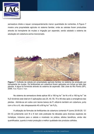 22

semeadura direta e requer consequentemente menor quantidade de nutrientes. A Figura 7
mostra uma propriedade agrícola no sistema familiar, onde as cebolas foram produzidas
através do transplante de mudas e irrigação por aspersão, sendo adotado o sistema de
adubação em cobertura acima mencionado.

Figura 7. Colheita de cebola em propriedade agrícola familiar no sistema de produção por
transplante de mudas. Os fertilizantes em cobertura foram aplicados em linhas ao lado das
plantas. A água foi fornecida através do sistema de aspersão. São José do Rio Pardo (SP),
2006. Foto: Paulo E. Trani
No sistema de semeadura direta aplicar 80 a 160 kg ha-1 de N e 40 a 160 kg ha-1 de
K2O dividindo este total em 5 aplicações aos 25, 40, 55, 70 e 85 dias após a emergência das
plantas. Admite-se em solos com teores baixos de P, utilizá-lo também em cobertura, junto
com o N e o K, não ultrapassando 40 a 60 kg ha-1 de P2O5.
A utilização de fórmulas de fertilizantes de cobertura contendo P (como 20-05-20; 1204-12) juntamente com N e K tem sido praticada há décadas para diversas espécies de
hortaliças, inclusive para a cebola e mostrado na prática, efeitos benéficos, ainda não
quantificados, quanto à maior produção e melhor qualidade dos produtos colhidos.

 