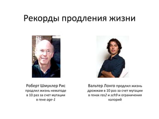 Рекорды продления жизни
Роберт Шмуклер Рис
продлил жизнь нематоде
в 10 раз за счет мутации
в гене age-1
Вальтер Лонго продлил жизнь
дрожжам в 10 раз за счет мутации
в генах ras2 и sch9 и ограничения
калорий
 
