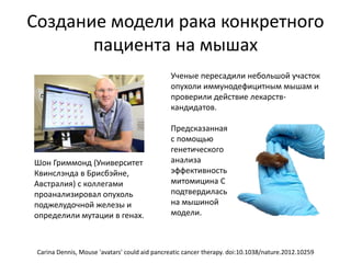 Создание модели рака конкретного
пациента на мышах
Шон Гриммонд (Университет
Квинслэнда в Брисбэйне,
Австралия) с коллегами
проанализировал опухоль
поджелудочной железы и
определили мутации в генах.
Carina Dennis, Mouse 'avatars' could aid pancreatic cancer therapy. doi:10.1038/nature.2012.10259
Ученые пересадили небольшой участок
опухоли иммунодефицитным мышам и
проверили действие лекарств-
кандидатов.
Предсказанная
с помощью
генетического
анализа
эффективность
митомицина С
подтвердилась
на мышиной
модели.
 