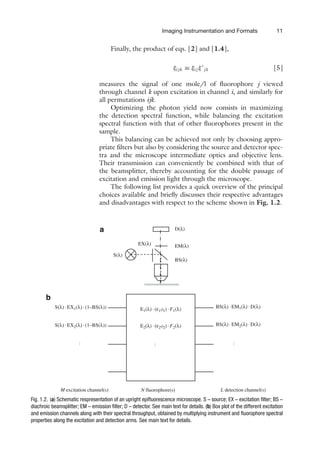 Imaging Instrumentation and Formats 11
Finally, the product of eqs. [2] and [1.4],
ξi jk ≡ ξi j ξ
jk [5]
measures the signal of one mole/l of fluorophore j viewed
through channel k upon excitation in channel i, and similarly for
all permutations ijk.
Optimizing the photon yield now consists in maximizing
the detection spectral function, while balancing the excitation
spectral function with that of other fluorophores present in the
sample.
This balancing can be achieved not only by choosing appro-
priate filters but also by considering the source and detector spec-
tra and the microscope intermediate optics and objective lens.
Their transmission can conveniently be combined with that of
the beamsplitter, thereby accounting for the double passage of
excitation and emission light through the microscope.
The following list provides a quick overview of the principal
choices available and briefly discusses their respective advantages
and disadvantages with respect to the scheme shown in Fig. 1.2.
D(λ)
S(λ)
EM(λ)
EX(λ)
BS(λ)
M excitation channel(s) N fluorophore(s) L detection channel(s)
S(λ) · EX1(λ) · (1–BS(λ)) E1(λ) · (ε1φ1) · F1(λ)
E2(λ) · (ε2φ2) · F2(λ)
S(λ) · EX2(λ) · (1–BS(λ)) BS(λ) · EM2(λ) · D(λ)
BS(λ) · EM1(λ) · D(λ)
…
…
…
a
b
Fig. 1.2. (a) Schematic respresentation of an upright epifluorescence microscope. S – source; EX – excitation filter; BS –
diachroic beamsplitter; EM – emission filter; D – detector. See main text for details. (b) Box plot of the different excitation
and emission channels along with their spectral throughput, obtained by multiplying instrument and fluorophore spectral
properties along the excitation and detection arms. See main text for details.
 