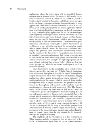 24 Hilderbrand
applications where the probe signal will be quantified, fluores-
cein may not be suitable. Other fluorophores with similar excita-
tion and emission such as BODIPY FL or AF488 (6), which is
based on a pH-insensitive rhodamine scaffold, are more appropri-
ate for use in experiments requiring probe quantification. In many
applications, labels with fluorescence emission in the NIR are pre-
ferred. NIR-emitting fluorophores are not susceptible to interfer-
ence from biological autofluorescence and are directly translatable
to many in vivo imaging applications due to the increased opti-
cal transparency of biological tissue between ∼650 and 1000 nm
(35). Fluorophores can show distinct changes in their fluores-
cence intensity and/or fluorescence emission wavelength based
on the polarity of their local environment. The fluorescence quan-
tum yields and emission wavelengths of dansyl fluorophores are
well known to vary with the polarity of the surrounding media.
Solvent polarity-based changes in fluorescence emission wave-
lengths and quantum yields can often be minimized by increas-
ing the polarity of the fluorophore. Fluorophores that show little
or no polarity-dependent changes on their optical properties tend
to contain one or more solubilizing groups such as sulfonate or
carboxylate moieties. For example, the optical properties of the
near infrared emitting fluorophore, Cy5.5, which has four sul-
fonate groups, are relatively insensitive to changes in the local
microenvironment.
Many fluorophores can be modified to act as optical switches
that are activated by exposure to UV light. Several applications
have made use of these photoactivatable or “caged” fluorophores.
Caged fluorophores have been employed in dynamic imaging
applications where specific temporal and spatial activation of a
small population of fluorophore labels is required. These masked
fluorophores, such as caged fluorescein, are prepared by reac-
tion of the fluorophore with o-nitrobenzylbromide to form the
non-fluorescent photoactivatable compound (36). The fluores-
cence can be activated by irradiation at 365 nm to cleave the
o-nitrobenzyl group, releasing the free fluorophore (Fig. 2.5). In
one early demonstration of this approach, microtubule flux in the
mitotic spindle was monitored following photoactivation of caged
fluorescein-labeled tubulin (36). Similarly, a caged resorufin was
used to observe intracellular actin filament dynamics (37). More
recently, a series of cell permeable caged coumarin derivatives (38,
39) has been designed for the study of intercellular gap junctions.
After intracellular delivery of these caged fluorophores, a small
population of the caged coumarins was activated and used as a flu-
orescent reporter to monitor the migration of the dye molecules
through the gap junctions (39).
The brightness of the fluorophore is a key consideration.
When targeting cellular components that are expressed in low
levels, the fluorescence signal from the optical reporter needs to
 