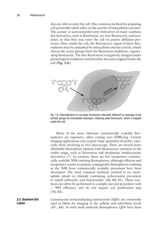 26 Hilderbrand
dyes are able to enter the cell. One common method for preparing
cell-permeable labels relies on the activity of intracellular esterases.
The acetate or acetoxymethyl ester derivatives of many xanthene
dye derivatives, such as fluorescein, are non-fluorescent, and non-
polar, so that they may enter the cell via passive diffusion pro-
cesses. Once inside the cell, the fluorescence signal of these fluo-
rophores may be unmasked by intracellular esterase activity, which
cleaves the acetyl groups from the fluorescein backbone, regener-
ating fluorescein. The free fluorescein is negatively charged under
physiological conditions and therefore becomes trapped inside the
cell (Fig. 2.6).
Fig. 2.6. Internalization of non-polar fluorescein diacetate followed by cleavage of the
acetate groups by intracellular esterases, releasing polar fluorescein, which is trapped
inside the cell.
Many of the more elaborate commercially available fluo-
rophores are expensive, often costing over $200/mg. Certain
imaging applications may require large quantities of probe, espe-
cially those involving in vivo microscopy. There are several more
affordable fluorophore options with fluorescence emission in the
visible range, such as fluorescein and rhodamine isothiocyanate
derivatives (7). In contrast, there are few inexpensive commer-
cially available NIR-emitting fluorophores, although efficient and
inexpensive routes to prepare conjugatable fluorophores emitting
in the NIR from commercially available precursors have been
developed. The most common synthetic method is via nucle-
ophilic attack on chloride containing carbocyanine precursors
to install carboxylic acid functionality (34, 40, 41). These reac-
tions can often be performed in a simple one-pot procedure with
 90% efficiency and do not require any purification step
(34, 42).
2.2. Quantum Dot
Labels
Luminescent semiconducting nanocrystals (QDs) are commonly
used as labels for imaging at the cellular and subcellular levels
(43 , 44). As with small molecule fluorophores, QDs have been
 