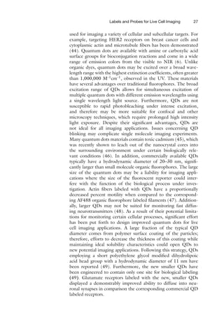Labels and Probes for Live Cell Imaging 27
used for imaging a variety of cellular and subcellular targets. For
example, targeting HER2 receptors on breast cancer cells and
cytoplasmic actin and microtubule fibers has been demonstrated
(44). Quantum dots are available with amine or carboxylic acid
surface groups for bioconjugation reactions and come in a wide
range of emission colors from the visible to NIR (6). Unlike
organic dyes, quantum dots may be excited over a broad wave-
length range with the highest extinction coefficients, often greater
than 1,000,000 M–1
cm–1
, observed in the UV. These materials
have several advantages over traditional fluorophores. The broad
excitation range of QDs allows for simultaneous excitation of
multiple quantum dots with different emission wavelengths using
a single wavelength light source. Furthermore, QDs are not
susceptible to rapid photobleaching under intense excitation,
and therefore may be more suitable for confocal and other
microscopy techniques, which require prolonged high intensity
light exposure. Despite their significant advantages, QDs are
not ideal for all imaging applications. Issues concerning QD
blinking may complicate single molecule imaging experiments.
Many quantum dots materials contain toxic cadmium (45), which
was recently shown to leach out of the nanocrystal cores into
the surrounding environment under certain biologically rele-
vant conditions (46). In addition, commercially available QDs
typically have a hydrodynamic diameter of 20–30 nm, signifi-
cantly larger than small molecule organic fluorophores. The large
size of the quantum dots may be a liability for imaging appli-
cations where the size of the fluorescent reporter could inter-
fere with the function of the biological process under inves-
tigation. Actin fibers labeled with QDs have a proportionally
decreased percent motility when compared to the correspond-
ing AF488 organic fluorophore labeled filaments (47). Addition-
ally, larger QDs may not be suited for monitoring fast diffus-
ing neurotransmitters (48). As a result of their potential limita-
tions for monitoring certain cellular processes, significant effort
has been put forth to design improved quantum dots for live
cell imaging applications. A large fraction of the typical QD
diameter comes from polymer surface coating of the particles;
therefore, efforts to decrease the thickness of this coating while
maintaining ideal solubility characteristics could open QDs to
new potential imaging applications. Following this strategy, QDs
employing a short polyethylene glycol modified dihydrolipoic
acid head group with a hydrodynamic diameter of 11 nm have
been reported (49). Furthermore, the new smaller QDs have
been engineered to contain only one site for biological labeling
(49). Glutamate receptors labeled with the new, smaller QDs
displayed a demonstrably improved ability to diffuse into neu-
ronal synapses in comparison the corresponding commercial QD
labeled receptors.
 