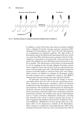 30 Hilderbrand
Fig. 2.7. Enzymatic activation of a polylysine based NIR activatable probe for cathepsin D.
In addition, several of the lysine side chains are further modified
with a cathepsin D specific cleavage sequence containing NIR-
emitting Cy5.5 fluorophores (64). Up to 24 Cy5.5 fluorophores
are incorporated per polylysine polymer. The high density of
fluorophores allows for efficient self-quenching of the dyes. In this
case, more than 99% of the fluorescence emission of the Cy5.5 flu-
orophores is quenched in the probe (64). Upon cleavage of the
probe with cathepsin D, up to 60-fold increase in fluorescence sig-
nal is possible. The effectiveness of this probe was demonstrated
in vivo by imaging of mice bearing cathepsin D positive tumors
where a signal-to-noise ratio of up to 22.8 was reported between
tumor and non-target tissue (65). This flexible design strategy for
enzyme activatable probes is useful for both endo- and exopep-
tidase enzymes. In addition to cathepsin D, fluorogenic probes
for other enzymes such as cathepsin K, caspase-1, and MMP-2
utilizing this activation strategy have been reported (66–68).
An alternative strategy employed for the design of enzyme
activatable probes does not rely on dye–dye quenching interac-
tions. Instead, its fluorescence switching is based on chemical
modification of the fluorophore reporter to alter its optical emis-
sion properties. One method for achieving this is by alterating the
electronic structure of the fluorophore via formation of covalent
bonds on portions of the fluorophore that are directly involved in
fluorescence emission. For example, many classes of fluorophores
such as 7-amino coumarins, rhodamines, fluoresceins, and Nile
blue derivatives have amine or phenoxy groups that are part of
their conjugated chromophore system and are available for chem-
ical modification. Modification of these groups often has a dra-
matic effect on the fluorescence emission of the fluorophore.
These changes are typified by strong hipsochromic shifts of the
absorption maximum of the dye and a concomitant blue shift of
 