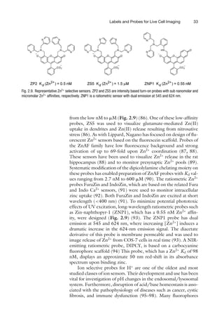 Labels and Probes for Live Cell Imaging 33
Fig. 2.9. Representative Zn2+
selective sensors. ZP2 and ZS5 are intensity based turn-on probes with sub nanomolar and
micromolar Zn2+
affinities, respectively. ZNP1 is a ratiometric sensor with dual emission at 545 and 624 nm.
from the low nM to ␮M (Fig. 2.9) (86). One of these low-affinity
probes, ZS5 was used to visualize glutamate-mediated Zn(II)
uptake in dendrites and Zn(II) release resulting from nitrosative
stress (86). As with Lippard, Nagano has focused on design of flu-
orescent Zn2+
sensors based on the fluorescein scaffold. Probes of
the ZnAF family have low fluorescence background and strong
activation of up to 69-fold upon Zn2+
coordination (87, 88).
These sensors have been used to visualize Zn2+
release in the rat
hippocampus (88) and to monitor presynaptic Zn2+
pools (89).
Systematic modification of the dipicolylamine chelating moiety on
these probes has enabled preparation of ZnAF probes with Kd val-
ues ranging from 2.7 nM to 600 ␮M (90). The ratiometric Zn2+
probes FuraZin and IndoZin, which are based on the related Fura
and Indo Ca2+
sensors, (91) were used to monitor intracellular
zinc uptake (92). Both FuraZin and IndoZin are excited at short
wavelength (400 nm) (91). To minimize potential phototoxic
effects of UV excitation, long-wavelength ratiometric probes such
as Zin-naphthopyr-1 (ZNP1), which has a 0.55 nM Zn2+
affin-
ity, were designed (Fig. 2.9) (93). The ZNP1 probe has dual
emission at 545 and 624 nm, where increasing [Zn2+
] induces a
dramatic increase in the 624-nm emission signal. The diacetate
derivative of this probe is membrane permeable and was used to
image release of Zn2+
from COS-7 cells in real time (93). A NIR-
emitting ratiometric probe, DIPCY, is based on a carbocyanine
fluorophore scaffold (94) This probe, which has a Zn2+
Kd of 98
nM, displays an approximate 50 nm red-shift in its absorbance
spectrum upon binding zinc.
Ion selective probes for H+
are one of the oldest and most
studied classes of ion sensors. Their development and use has been
vital for investigation of pH changes in the endosomal/lysosomal
system. Furthermore, disruption of acid/base homeostasis is asso-
ciated with the pathophysiology of diseases such as cancer, cystic
fibrosis, and immune dysfunction (95–98). Many fluorophores
 