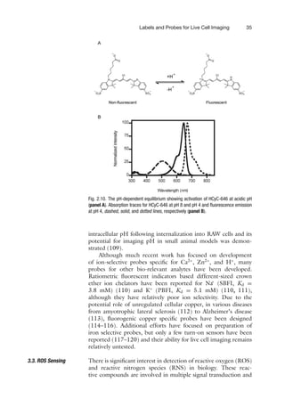 Labels and Probes for Live Cell Imaging 35
Fig. 2.10. The pH-dependent equilibrium showing activation of HCyC-646 at acidic pH
(panel A). Absorption traces for HCyC-646 at pH 8 and pH 4 and fluorescence emission
at pH 4, dashed, solid, and dotted lines, respectively (panel B).
intracellular pH following internalization into RAW cells and its
potential for imaging pH in small animal models was demon-
strated (109).
Although much recent work has focused on development
of ion-selective probes specific for Ca2+
, Zn2+
, and H+
, many
probes for other bio-relevant analytes have been developed.
Ratiometric fluorescent indicators based different-sized crown
ether ion chelators have been reported for Na+
(SBFI, Kd =
3.8 mM) (110) and K+
(PBFI, Kd = 5.1 mM) (110, 111),
although they have relatively poor ion selectivity. Due to the
potential role of unregulated cellular copper, in various diseases
from amyotrophic lateral sclerosis (112) to Alzheimer’s disease
(113), fluorogenic copper specific probes have been designed
(114–116). Additional efforts have focused on preparation of
iron selective probes, but only a few turn-on sensors have been
reported (117–120) and their ability for live cell imaging remains
relatively untested.
3.3. ROS Sensing There is significant interest in detection of reactive oxygen (ROS)
and reactive nitrogen species (RNS) in biology. These reac-
tive compounds are involved in multiple signal transduction and
 