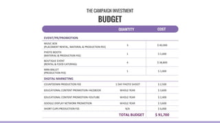 BUDGET
THE CAMPAIGN INVESTMENT
 