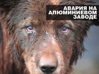 Смертельные банки