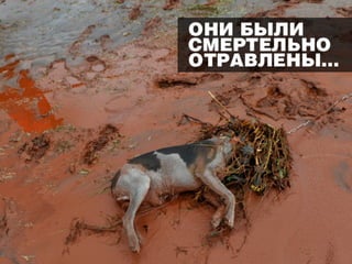 Смертельные банки