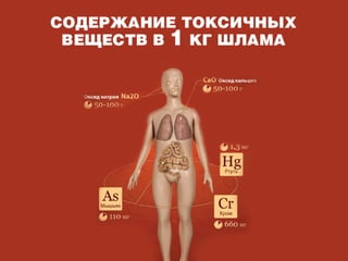 Смертельные банки