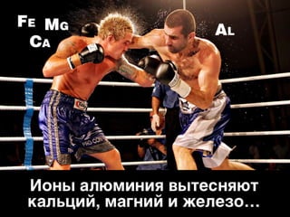 Смертельные банки