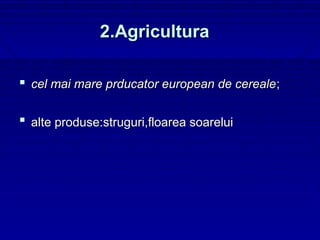 2.Agricultura

 cel mai mare prducator european de cereale;

 alte produse:struguri,floarea soarelui
 