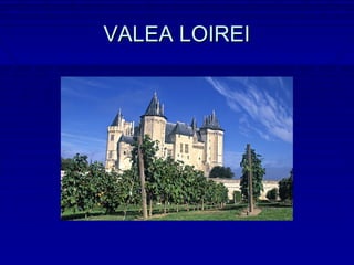VALEA LOIREI
 