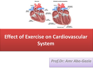 Effect of Exercise on Cardiovascular
System
Prof.Dr: Amr Abo-Gazia
 