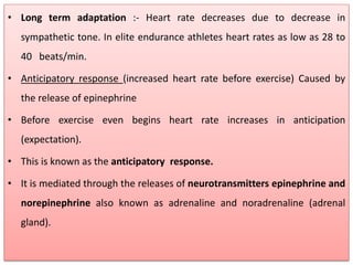 effects of exercise on cardiovascular system | PDF