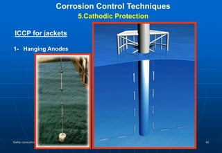 protection protection presentation plus image 5.ppt
