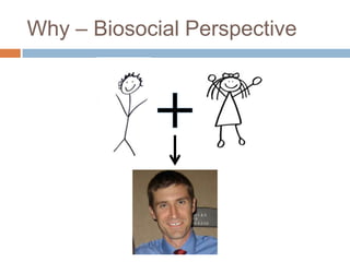 Why – Biosocial Perspective<br />