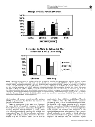 shortcomings of serum prostate-specific antigen
(PSA), in particular, its elevation in response to
prostatic inflammation.
CD44v10 immunoreactivity was more frequent
in tumor (89% of samples) compared to benign
tissue (27%) in our tissue microarray. Benign tissue
staining was also weaker than that of tumor. There
was very little nonspecific staining. Our RT-PCR and
sequencing (Figure 3e), did show benign and tumor
samples both to have mRNA transcripts that con-
tained only the v10 exon.25
The CD44v10 exon is
much shorter than v9 (63 bps vs 204 bps). There is
some evidence that the v10 moiety functions
differently from v7-9 in attachment to hyaluronate.
In dendritic cells, tumor necrosis factor a upregu-
lates the expression of CD44v3-, v6-, and v9-contain-
ing isoforms. However, v3- and v6-containing forms
were required for dendritic cell adhesion to im-
mobilized hyaluronate, whereas anti-CD44v9 mono-
clonal antibodies were unable to block adhesion
to hyaluronan.46
However, gastric carcinoma cells
negative for CD44v5 and v6 exhibited higher
Figure 7 Matrigel Invasion Index of prostate cancer cells according to treatment. (a) Mean7standard deviation is shown for four
experimental trials with PC3M cells and five trials with Gsa cells. All cells were transfected for GFP. RNAi for CD44v9 (CD44v9i), reduces
Invasion Index of transfected PC3M cells to 21.677.0% of the index with vehicle alone (Po0.001), and that of Gsa cells to 31.2718.3% of
vehicle control (Po0.001). Cells undergoing Muc18i had Invasion Indices of 76.9713.5% for PC3M cells (Po0.05) and 84.8729.9% for
Gsa cells (P ¼ 0.18) vs controls. Both CD44v9 and Muc18 RNAi reduced Invasion Indices similarl to the levels with CD44v9 RNAi alone
(P ¼ 0.001 for PC3M cells and P ¼ 0.001 for Gsa cells). A minority of the invaded cells were GFP-positive, by cell counts, 12.5–38.7% for
the PC3M cells and 5.0–11.7% for the Gsa cells. (b) In one experiment, FACS cell sorting was performed according to the GFP positivity.
The percent of invasion by the GFP-positive cells receiving CD44v9 interference is less than the percent of invasion by the GFP-negative
cells after the same RNAi treatments (Po0.005) and the same is true after Muc18 interference (Po0.025). Thus, enrichment for
transfected cells yielded a less invasive population.
CD44 expression in prostate cancer invasion
AL Omara-Opyene et al
11
Laboratory Investigation (2004) 1–14
 