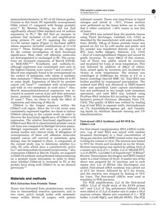 immunohistochemistry in PC of all Gleason grades.
Counter to this trend, PC reportedly overexpressed
CD44 variant v7 compared with benign prostatic
acini.24
By Western blotting, we did not find
significantly altered CD44 standard and v6 isoform
expression in PC.25
We did find an increase in
proteins that included v7–v9; and amplification
using primers P1 and P2 spanning the entire
v1–v10 variant region (Figure 1) disclosed mRNA
whose sequence included combinations of v7–v10
exons.25
These findings served as the impetus
for the current investigation of their functional
significance. Most other cell adhesion molecules
are downregulated or unchanged in PC. The excep-
tions are increased expression of Muc18 (CD146,
or MelCAM),26,27
N-cadherin and cadherin-11,
although expression was consistently seen only in
the highest Gleason score cancer,28
and d-catenin.29
Muc18 was originally found to be overexpressed on
the surface of melanoma cells where it mediates
their metastasis.30
Others have studied Muc18 in PC
in some depth. Expression of Muc18 by prostate
cancer cell lines26,27
correlated with invasiveness
and with in vivo metastasis in nude mice.26
Also,
Muc18 immunohistochemical expression was in-
creased in prostate cancer acini and their precursor
lesion, prostatic intraepithelial neoplasia (PIN), in
37 cases.27
Thus, we chose to study the effect of
expression and silencing of Muc18.
CD44v9 is the longest sequence within the
CD44v7–v10 region. Since the v7–v10 exons were
consistently expressed together, we chose to induce
CD44v9 silencing in the current study in order to
discover the functional significance of CD44v7–v10
expression. The relative functional significance of
CD44v9 and Muc18 in characterized prostate cancer
cell lines was compared in Matrigel invasion assays.
Matrigel experiments will serve as a prelude to
animal studies and clinical trials. If abrogation of
overexpression of these cell adhesion molecules
impairs cancer cell survival or metastasis, gene
therapy may be targeted to them. A component of
the current study was to determine whether Gsa
cells, PC cells which have a constitutively active
Gsa31
and demonstrate increased invasiveness,32
also
overexpress CD44v9 or Muc18. Finally, we acquired
a CD44v10 antibody and performed immunostaining
on a prostate tissue microarray in order to deter-
mine whether CD44v10 is increased in PC at the
protein level along with CD44v7–9, as we showed
previously.25
Materials and methods
RNA Extraction from Prostatic Tissue
Tissue was harvested from prostatectomy, enuclea-
tion or transurethral resection specimens, and in
two cases, pelvic lymph nodes with metastatic
tumor, within 20 min of surgery, with patient
informed consent. Tissue was snap-frozen in liquid
nitrogen and stored at À701C. Frozen sections
were performed on the tissue before use to verify
that it either contained 450% tumor or was free
of tumor.
Total RNA was isolated from the prostate tissues
using Trizol (Invitrogen, Carlsbad, CA, USA) as
described by the manufacturer with some modifica-
tions. Briefly, 100 mg of frozen prostate tissue was
ground on dry ice by cold mortar and pestle, and
the powder was transferred directly into 2 ml of
RTL lysis buffer (Qiagen, Valencia, CA, USA)
þ 20 ml of 2-mercaptoethanol (Sigma) and mixed by
gentle inversion. To every 500 ml of this mixture,
1 ml of Trizol was added, mixed by inversion
and incubated for 5 min at room temperature. This
was followed by addition of 200 ml of chloro-
form, mixed again by inversion and incubated for
10 min at room temperature. The mixture was
centrifuged at 14 000 rpm for 10 min at 41C in a
bench centrifuge (Sorvall RMC 14). Total RNA was
further purified by isopropanol precipitation. The
isolated total RNA was dissolved in DEPC-treated
water and quantified. Laser capture microdissec-
tion was performed in two lymph node metastasis
specimens, and total RNA was isolated using
PicoPure RNA Isolation Kit according to the manu-
facturer’s protocol (Arcturus, Mountain View, CA,
USA). The quality of RNA was verified by loading
6 mg of total RNA in separate wells, electrophoresis
on 1% formaldehyde–agarose gel, and visualiz-
ing bands by ethidium bromide staining and UV
transillumination.
First-strand cDNA Synthesis and RT-PCR for
CD44v7–v10
For first-strand complementary DNA (cDNA) synth-
esis, 1 mg of total RNA was mixed with random
hexamers (Invitrogen) to a final concentration of
50 ng per reaction and DEPC-treated water was used
to bring the volume to 10 ml. The mixture was heated
to 701C for 10 min and incubated on ice for 10 min.
Reverse transcription was started by adding 10 ml of
a master mix (4 ml of 5 Â buffer, 2 ml of 100 mM DTT,
1 ml of dNTPs, 1 ml (200 U) of SuperScriptt II RNaseH
Reverse Transcriptase (Invitrogen) and DEPC-treated
water to a total volume of 10 ml). A master mix of the
above was prepared for 12 reactions and to each
master mix 1 ml of RNAse Out (Invitrogen) was
added. First-strand cDNA synthesis was carried out
at 251C for 10 min, followed by 421C for 45 min,
and the reaction was stopped by heating at 701C
for 3 min. The first-strand cDNAs were used as
templates in PCR reactions.
For PCR amplification, 5 ml of the first-strand
cDNA, 2.5 ml of 10 mM stock of the E3/P4 primer
set33
and 2.5 ml of Taq polymerase (diluted 1:10)
were added to 37.5 ml of master mix to make a 50 ml
reaction volume. Master mix consisted of 1 Â PCR
buffer, 1.5 mM MgCl2 and 200 mM dNTPs. The PCR
CD44 expression in prostate cancer invasion
AL Omara-Opyene et al
3
Laboratory Investigation (2004) 1–14
 
