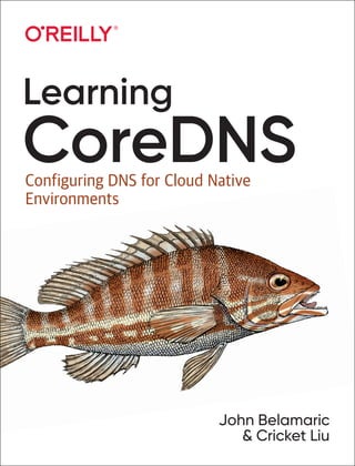John Belamaric
& Cricket Liu
Learning
CoreDNS
Configuring DNS for Cloud Native
Environments
 