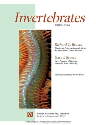 Invertebrates
SECOND EDITION
Richard C. Brusca
Director of Conservation and Science,
Arizona-Sonora Desert Museum
Gary J. Brusca
Late, Professor of Zoology,
Humboldt State University
with illustrations by Nancy Haver
Sinauer Associates, Inc., Publishers
Sunderland, Massachusetts 01375
© Sinauer Associates, Inc. This material cannot be copied, reproduced, manufactured
or disseminated in any form without express written permission from the publisher.
 