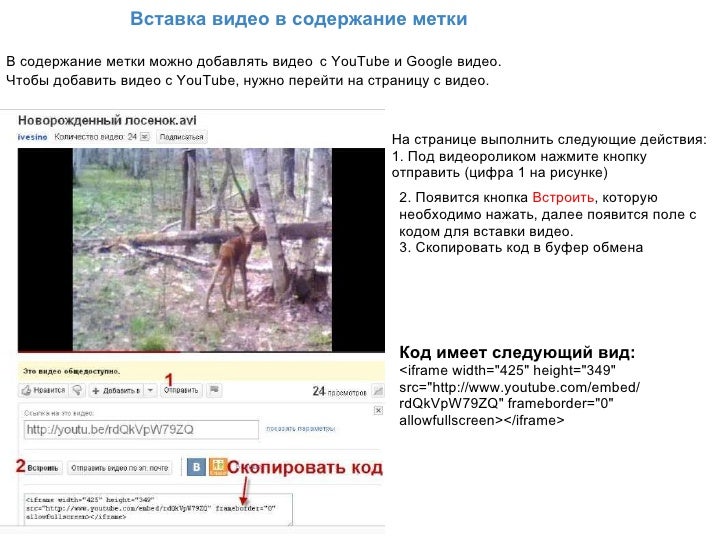 Пересказ видео по ссылке. Как сделать большой пересказ. Пересказ видео по ссылке. Содержание видео. Содержание видео.