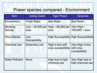 Prawn species compared - Environment
Item Udang Galah Tiger Prawn Vanamae
Environment Fresh Water Sea Water Sea Water
Stoc...