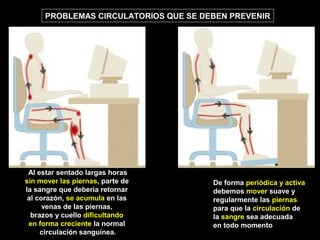 Al estar sentado largas horas
sin mover las piernas, parte de
la sangre que debería retornar
al corazón, se acumula en las
venas de las piernas,
brazos y cuello dificultando
en forma creciente la normal
circulación sanguínea.
De forma periódica y activa
debemos mover suave y
regularmente las piernas
para que la circulación de
la sangre sea adecuada
en todo momento
PROBLEMAS CIRCULATORIOS QUE SE DEBEN PREVENIR
 