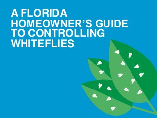 A FLORIDA 
HOMEOWNER’S GUIDE 
TO CONTROLLING 
WHITEFLIES 
 