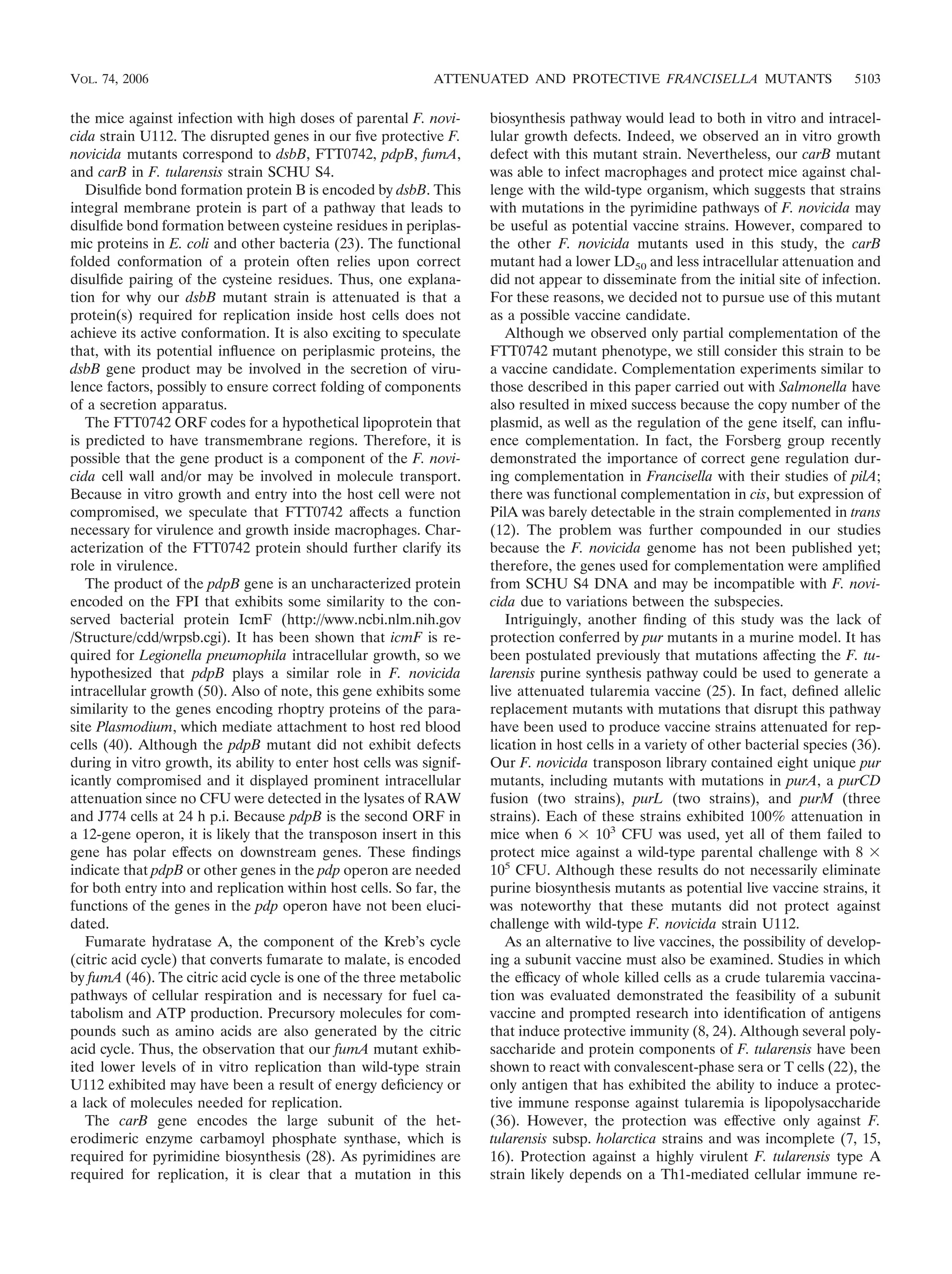 the mice against infection with high doses of parental F. novi-
cida strain U112. The disrupted genes in our ﬁve protective F.
novicida mutants correspond to dsbB, FTT0742, pdpB, fumA,
and carB in F. tularensis strain SCHU S4.
Disulﬁde bond formation protein B is encoded by dsbB. This
integral membrane protein is part of a pathway that leads to
disulﬁde bond formation between cysteine residues in periplas-
mic proteins in E. coli and other bacteria (23). The functional
folded conformation of a protein often relies upon correct
disulﬁde pairing of the cysteine residues. Thus, one explana-
tion for why our dsbB mutant strain is attenuated is that a
protein(s) required for replication inside host cells does not
achieve its active conformation. It is also exciting to speculate
that, with its potential inﬂuence on periplasmic proteins, the
dsbB gene product may be involved in the secretion of viru-
lence factors, possibly to ensure correct folding of components
of a secretion apparatus.
The FTT0742 ORF codes for a hypothetical lipoprotein that
is predicted to have transmembrane regions. Therefore, it is
possible that the gene product is a component of the F. novi-
cida cell wall and/or may be involved in molecule transport.
Because in vitro growth and entry into the host cell were not
compromised, we speculate that FTT0742 affects a function
necessary for virulence and growth inside macrophages. Char-
acterization of the FTT0742 protein should further clarify its
role in virulence.
The product of the pdpB gene is an uncharacterized protein
encoded on the FPI that exhibits some similarity to the con-
served bacterial protein IcmF (http://www.ncbi.nlm.nih.gov
/Structure/cdd/wrpsb.cgi). It has been shown that icmF is re-
quired for Legionella pneumophila intracellular growth, so we
hypothesized that pdpB plays a similar role in F. novicida
intracellular growth (50). Also of note, this gene exhibits some
similarity to the genes encoding rhoptry proteins of the para-
site Plasmodium, which mediate attachment to host red blood
cells (40). Although the pdpB mutant did not exhibit defects
during in vitro growth, its ability to enter host cells was signif-
icantly compromised and it displayed prominent intracellular
attenuation since no CFU were detected in the lysates of RAW
and J774 cells at 24 h p.i. Because pdpB is the second ORF in
a 12-gene operon, it is likely that the transposon insert in this
gene has polar effects on downstream genes. These ﬁndings
indicate that pdpB or other genes in the pdp operon are needed
for both entry into and replication within host cells. So far, the
functions of the genes in the pdp operon have not been eluci-
dated.
Fumarate hydratase A, the component of the Kreb’s cycle
(citric acid cycle) that converts fumarate to malate, is encoded
by fumA (46). The citric acid cycle is one of the three metabolic
pathways of cellular respiration and is necessary for fuel ca-
tabolism and ATP production. Precursory molecules for com-
pounds such as amino acids are also generated by the citric
acid cycle. Thus, the observation that our fumA mutant exhib-
ited lower levels of in vitro replication than wild-type strain
U112 exhibited may have been a result of energy deﬁciency or
a lack of molecules needed for replication.
The carB gene encodes the large subunit of the het-
erodimeric enzyme carbamoyl phosphate synthase, which is
required for pyrimidine biosynthesis (28). As pyrimidines are
required for replication, it is clear that a mutation in this
biosynthesis pathway would lead to both in vitro and intracel-
lular growth defects. Indeed, we observed an in vitro growth
defect with this mutant strain. Nevertheless, our carB mutant
was able to infect macrophages and protect mice against chal-
lenge with the wild-type organism, which suggests that strains
with mutations in the pyrimidine pathways of F. novicida may
be useful as potential vaccine strains. However, compared to
the other F. novicida mutants used in this study, the carB
mutant had a lower LD50 and less intracellular attenuation and
did not appear to disseminate from the initial site of infection.
For these reasons, we decided not to pursue use of this mutant
as a possible vaccine candidate.
Although we observed only partial complementation of the
FTT0742 mutant phenotype, we still consider this strain to be
a vaccine candidate. Complementation experiments similar to
those described in this paper carried out with Salmonella have
also resulted in mixed success because the copy number of the
plasmid, as well as the regulation of the gene itself, can inﬂu-
ence complementation. In fact, the Forsberg group recently
demonstrated the importance of correct gene regulation dur-
ing complementation in Francisella with their studies of pilA;
there was functional complementation in cis, but expression of
PilA was barely detectable in the strain complemented in trans
(12). The problem was further compounded in our studies
because the F. novicida genome has not been published yet;
therefore, the genes used for complementation were ampliﬁed
from SCHU S4 DNA and may be incompatible with F. novi-
cida due to variations between the subspecies.
Intriguingly, another ﬁnding of this study was the lack of
protection conferred by pur mutants in a murine model. It has
been postulated previously that mutations affecting the F. tu-
larensis purine synthesis pathway could be used to generate a
live attenuated tularemia vaccine (25). In fact, deﬁned allelic
replacement mutants with mutations that disrupt this pathway
have been used to produce vaccine strains attenuated for rep-
lication in host cells in a variety of other bacterial species (36).
Our F. novicida transposon library contained eight unique pur
mutants, including mutants with mutations in purA, a purCD
fusion (two strains), purL (two strains), and purM (three
strains). Each of these strains exhibited 100% attenuation in
mice when 6 ϫ 103
CFU was used, yet all of them failed to
protect mice against a wild-type parental challenge with 8 ϫ
105
CFU. Although these results do not necessarily eliminate
purine biosynthesis mutants as potential live vaccine strains, it
was noteworthy that these mutants did not protect against
challenge with wild-type F. novicida strain U112.
As an alternative to live vaccines, the possibility of develop-
ing a subunit vaccine must also be examined. Studies in which
the efﬁcacy of whole killed cells as a crude tularemia vaccina-
tion was evaluated demonstrated the feasibility of a subunit
vaccine and prompted research into identiﬁcation of antigens
that induce protective immunity (8, 24). Although several poly-
saccharide and protein components of F. tularensis have been
shown to react with convalescent-phase sera or T cells (22), the
only antigen that has exhibited the ability to induce a protec-
tive immune response against tularemia is lipopolysaccharide
(36). However, the protection was effective only against F.
tularensis subsp. holarctica strains and was incomplete (7, 15,
16). Protection against a highly virulent F. tularensis type A
strain likely depends on a Th1-mediated cellular immune re-
VOL. 74, 2006 ATTENUATED AND PROTECTIVE FRANCISELLA MUTANTS 5103
 