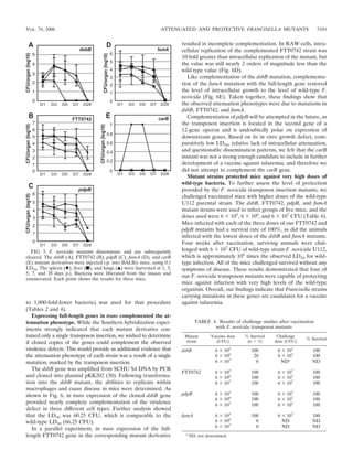 to 1,000-fold-fewer bacteria) was used for that procedure
(Tables 2 and 4).
Expressing full-length genes in trans complemented the at-
tenuation phenotype. While the Southern hybridization exper-
iments strongly indicated that each mutant derivative con-
tained only a single transposon insertion, we wished to determine
if cloned copies of the genes could complement the observed
virulence defects. This would provide as additional evidence that
the attenuation phenotype of each strain was a result of a single
mutation, marked by the transposon insertion.
The dsbB gene was ampliﬁed from SCHU S4 DNA by PCR
and cloned into plasmid pKK202 (30). Following transforma-
tion into the dsbB mutant, the abilities to replicate within
macrophages and cause disease in mice were determined. As
shown in Fig. 6, in trans expression of the cloned dsbB gene
provided nearly complete complementation of the virulence
defect in three different cell types. Further analysis showed
that the LD50 was 60.25 CFU, which is comparable to the
wild-type LD50 (66.25 CFU).
In a parallel experiment, in trans expression of the full-
length FTT0742 gene in the corresponding mutant derivative
resulted in incomplete complementation. In RAW cells, intra-
cellular replication of the complemented FTT0742 strain was
10-fold greater than intracellular replication of the mutant, but
the value was still nearly 2 orders of magnitude less than the
wild-type value (Fig. 6D).
Like complementation of the dsbB mutation, complementa-
tion of the fumA mutation with the full-length gene restored
the level of intracellular growth to the level of wild-type F.
novicida (Fig. 6E). Taken together, these ﬁndings show that
the observed attenuation phenotypes were due to mutations in
dsbB, FTT0742, and fumA.
Complementation of pdpB will be attempted in the future, as
the transposon insertion is located in the second gene of a
12-gene operon and is undoubtedly polar on expression of
downstream genes. Based on its in vitro growth defect, com-
paratively low LD50, relative lack of intracellular attenuation,
and questionable dissemination patterns, we felt that the carB
mutant was not a strong enough candidate to include in further
development of a vaccine against tularemia, and therefore we
did not attempt to complement the carB gene.
Mutant strains protected mice against very high doses of
wild-type bacteria. To further assess the level of protection
provided by the F. novicida transposon insertion mutants, we
challenged vaccinated mice with higher doses of the wild-type
U112 parental strain. The dsbB, FTT0742, pdpB, and fumA
mutant strains were used to infect groups of ﬁve mice, and the
doses used were 6 ϫ 105
, 6 ϫ 106
, and 6 ϫ 107
CFU (Table 4).
Mice infected with each of the three doses of our FTT0742 and
pdpB mutants had a survival rate of 100%, as did the animals
infected with the lowest doses of the dsbB and fumA mutants.
Four weeks after vaccination, surviving animals were chal-
lenged with 6 ϫ 107
CFU of wild-type strain F. novicida U112,
which is approximately 106
times the observed LD50 for wild-
type infection. All of the mice challenged survived without any
symptoms of disease. These results demonstrated that four of
our F. novicida transposon mutants were capable of protecting
mice against infection with very high levels of the wild-type
organism. Overall, our ﬁndings indicate that Francisella strains
carrying mutations in these genes are candidates for a vaccine
against tularemia.
FIG. 5. F. novicida mutants disseminate and are subsequently
cleared. The dsbB (A), FTT0742 (B), pdpB (C), fumA (D), and carB
(E) mutant derivatives were injected i.p. into BALB/c mice, using 0.1
LD50. The spleen (}), liver (■), and lungs (Œ) were harvested at 1, 3,
5, 7, and 28 days p.i. Bacteria were liberated from the tissues and
enumerated. Each point shows the results for three mice.
TABLE 4. Results of challenge studies after vaccination
with F. novicida transposon mutants
Mutant
strain
Vaccine dose
(CFU)
% Survival
(n ϭ 5)
Challenge
dose (CFU)
% Survival
dsbB 6 ϫ 105
100 6 ϫ 107
100
6 ϫ 106
20 6 ϫ 107
100
6 ϫ 107
0 NDa
ND
FTT0742 6 ϫ 105
100 6 ϫ 107
100
6 ϫ 106
100 6 ϫ 107
100
6 ϫ 107
100 6 ϫ 107
100
pdpB 6 ϫ 105
100 6 ϫ 107
100
6 ϫ 106
100 6 ϫ 107
100
6 ϫ 107
100 6 ϫ 107
100
fumA 6 ϫ 105
100 6 ϫ 107
100
6 ϫ 106
0 ND ND
6 ϫ 107
0 ND ND
a
ND, not determined.
VOL. 74, 2006 ATTENUATED AND PROTECTIVE FRANCISELLA MUTANTS 5101
 