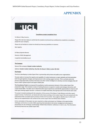 MSINGM99 Global Research Project, Consultancy Project Report, Evelina Georgieva and Liliya Pencheva
13
APPENDIX
 