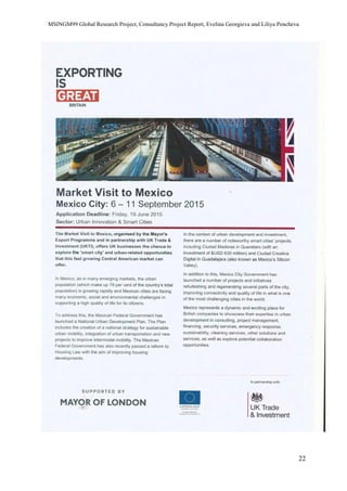 MSINGM99 Global Research Project, Consultancy Project Report, Evelina Georgieva and Liliya Pencheva
22
 